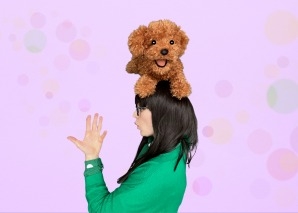 The Xili Macadamia Show