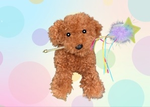 The Xili Macadamia Show