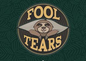FoolTears – cover band from Langenthal