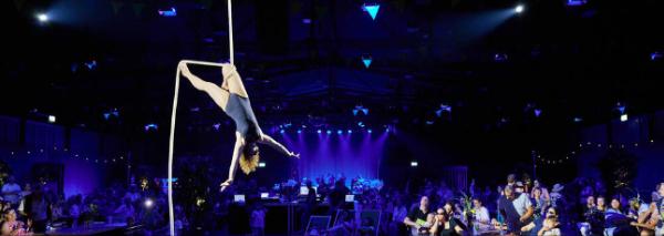 Vertical dance – aerial acrobatics