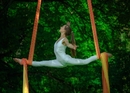 Clarissa Matter - aerial dancer on the vertical silks