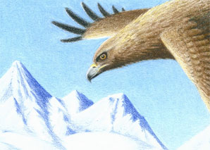 Xenegugeli, das Tier-ABC